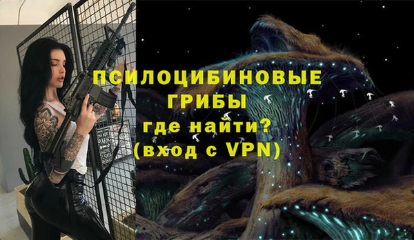 МДПВ Аркадак