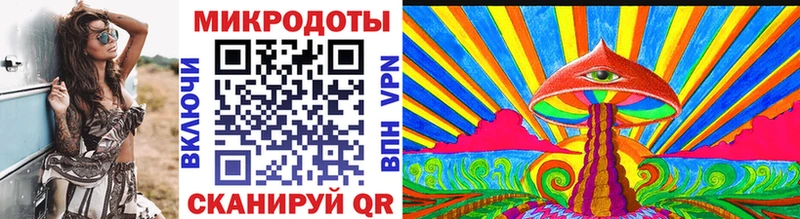 KRAKEN как войти Колпашево Псилоцибиновые грибы Magic Shrooms
